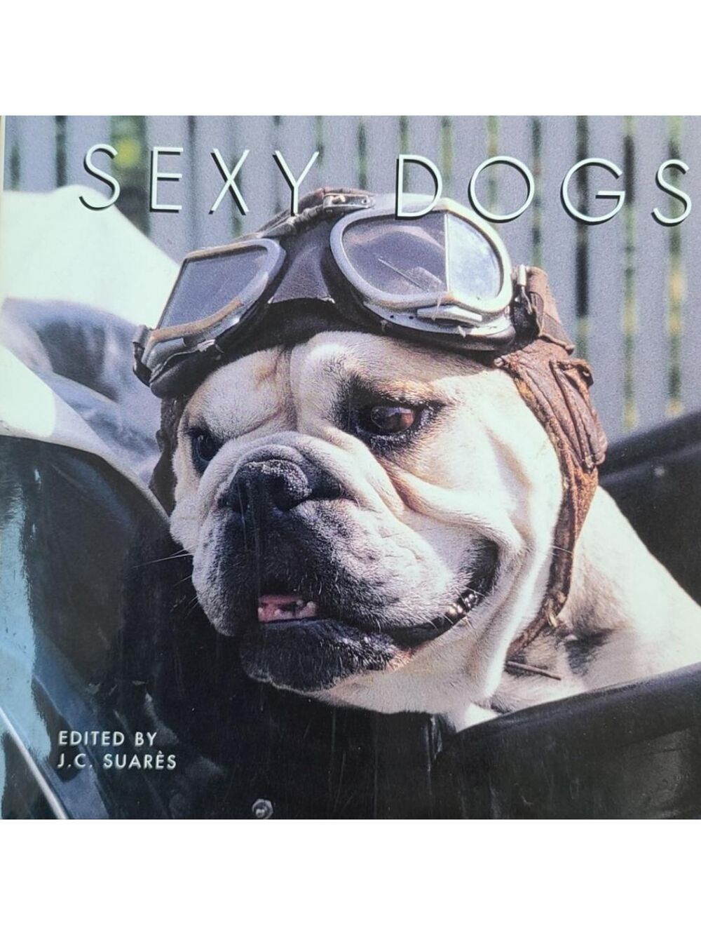 Hardcover Book 'SEXY DOGS' by JC Saures